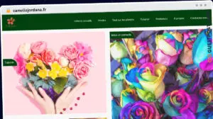 Publish Guest Post on cameliajordana.fr