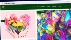 Publish Guest Post on cameliajordana.fr