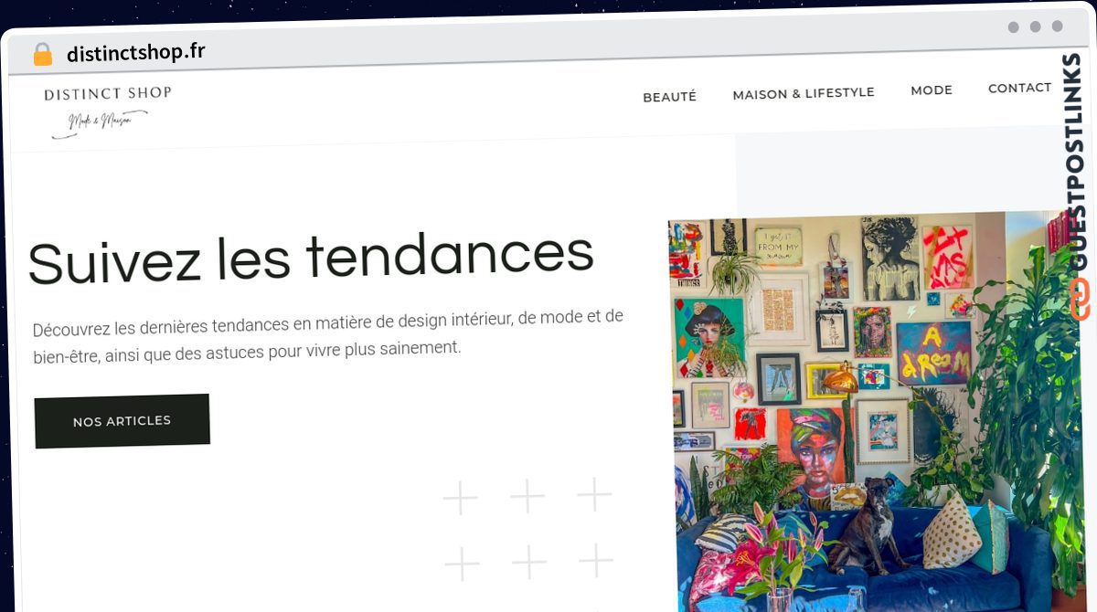 Publish Guest Post on distinctshop.fr