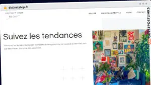 Publish Guest Post on distinctshop.fr