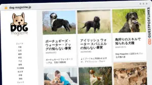 Publish Guest Post on dog-magazine.jp