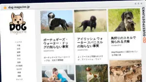 Publish Guest Post on dog-magazine.jp