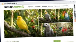 Publish Guest Post on mundodoanimal.pt