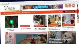 Publish Guest Post on mur.tv