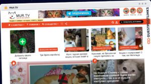 Publish Guest Post on mur.tv