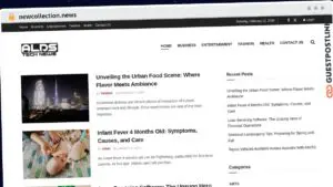 Publish Guest Post on newcollection.news