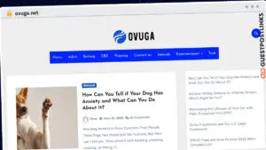 Publish Guest Post on ovuga.net