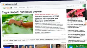 Publish Guest Post on sadogorod.club