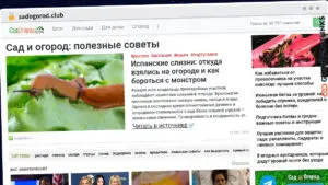 Publish Guest Post on sadogorod.club