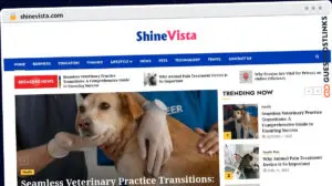 Publish Guest Post on shinevista.com