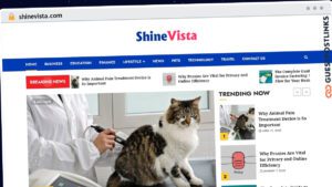 Publish Guest Post on shinevista.com
