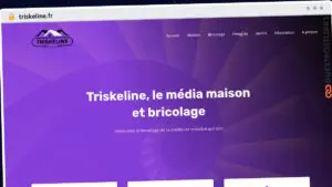 Publish Guest Post on triskeline.fr