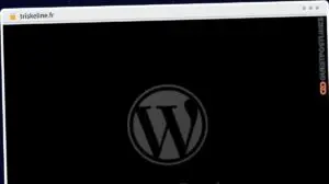 Publish Guest Post on triskeline.fr