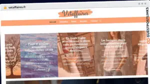 Publish Guest Post on vetaffaires.fr