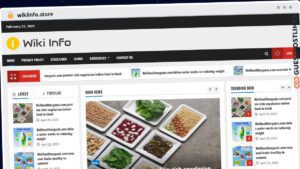 Publish Guest Post on wikiinfo.store