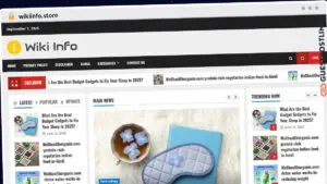 Publish Guest Post on wikiinfo.store