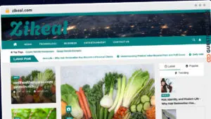 Publish Guest Post on zikeal.com