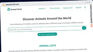Publish Guest Post on animalvivid.com