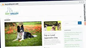 Publish Guest Post on bayvalleyvet.com