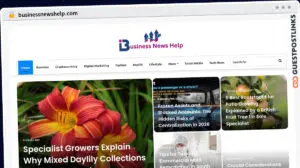 Publish Guest Post on businessnewshelp.com