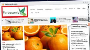 Publish Guest Post on forbesonly.com