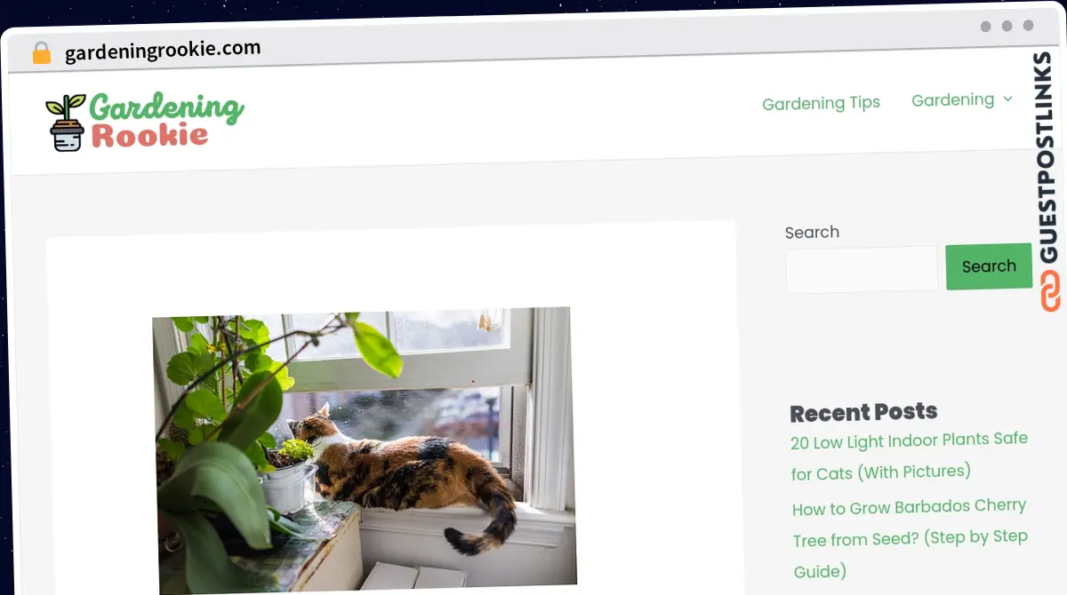 Publish Guest Post on gardeningrookie.com
