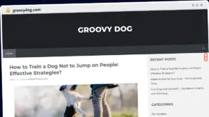 Publish Guest Post on groovydog.com