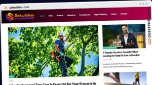 Publish Guest Post on sabwishes.com