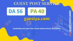 Buy Guest Post on gansiya.com