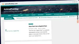 Publish Guest Post on animalfunkey.com