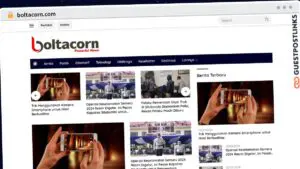 Publish Guest Post on boltacorn.com