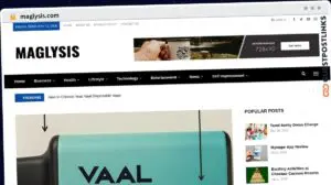 Publish Guest Post on maglysis.com