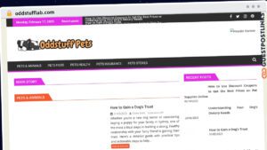 Publish Guest Post on oddstufflab.com