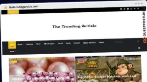 Publish Guest Post on thetrendingarticle.com