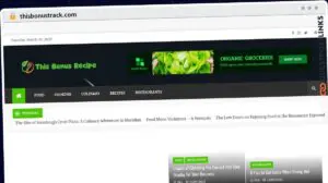 Publish Guest Post on thisbonustrack.com