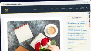 Publish Guest Post on vigoroussavant.com