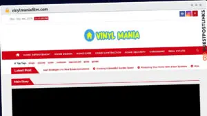 Publish Guest Post on vinylmaniafilm.com