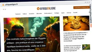 Publish Guest Post on afriquenligne.fr