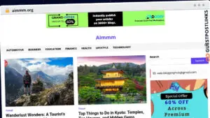 Publish Guest Post on aimmm.org