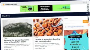Publish Guest Post on bluebrony.com