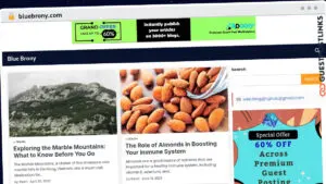 Publish Guest Post on bluebrony.com