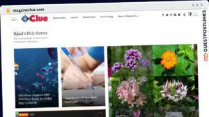 Publish Guest Post on magzineclue.com