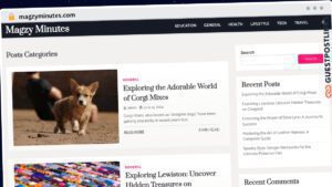 Publish Guest Post on magzyminutes.com