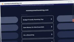 Publish Guest Post on mommyonashoestring.com