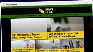 Publish Guest Post on newslibe.com