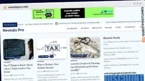 Publish Guest Post on revealspro.com