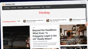 Publish Guest Post on tincbay.com