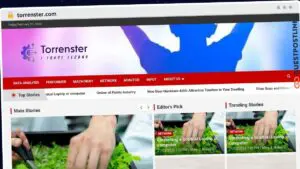 Publish Guest Post on torrenster.com