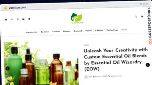 Publish Guest Post on voniclue.com
