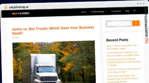 Publish Guest Post on whyblinking.us